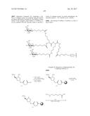 COMPOSITIONS AND METHODS FOR MODULATING PKK EXPRESSION diagram and image