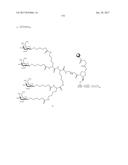 COMPOSITIONS AND METHODS FOR MODULATING PKK EXPRESSION diagram and image