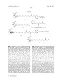 COMPOSITIONS AND METHODS FOR MODULATING PKK EXPRESSION diagram and image