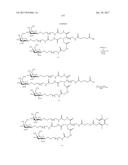 COMPOSITIONS AND METHODS FOR MODULATING PKK EXPRESSION diagram and image