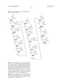 COMPOSITIONS AND METHODS FOR MODULATING PKK EXPRESSION diagram and image