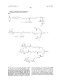 COMPOSITIONS AND METHODS FOR MODULATING PKK EXPRESSION diagram and image