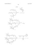 COMPOSITIONS AND METHODS FOR MODULATING PKK EXPRESSION diagram and image