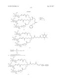 COMPOSITIONS AND METHODS FOR MODULATING PKK EXPRESSION diagram and image