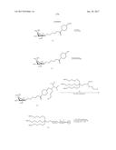 COMPOSITIONS AND METHODS FOR MODULATING PKK EXPRESSION diagram and image