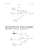 COMPOSITIONS AND METHODS FOR MODULATING PKK EXPRESSION diagram and image