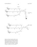 COMPOSITIONS AND METHODS FOR MODULATING PKK EXPRESSION diagram and image