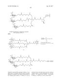 COMPOSITIONS AND METHODS FOR MODULATING PKK EXPRESSION diagram and image