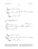 COMPOSITIONS AND METHODS FOR MODULATING PKK EXPRESSION diagram and image