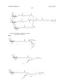 COMPOSITIONS AND METHODS FOR MODULATING PKK EXPRESSION diagram and image