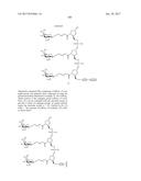 COMPOSITIONS AND METHODS FOR MODULATING PKK EXPRESSION diagram and image