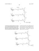 COMPOSITIONS AND METHODS FOR MODULATING PKK EXPRESSION diagram and image