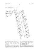 COMPOSITIONS AND METHODS FOR MODULATING PKK EXPRESSION diagram and image