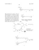 COMPOSITIONS AND METHODS FOR MODULATING PKK EXPRESSION diagram and image