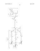 COMPOSITIONS AND METHODS FOR MODULATING PKK EXPRESSION diagram and image