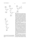 COMPOSITIONS AND METHODS FOR MODULATING PKK EXPRESSION diagram and image