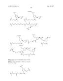 COMPOSITIONS AND METHODS FOR MODULATING PKK EXPRESSION diagram and image