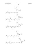 COMPOSITIONS AND METHODS FOR MODULATING PKK EXPRESSION diagram and image