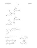 COMPOSITIONS AND METHODS FOR MODULATING PKK EXPRESSION diagram and image