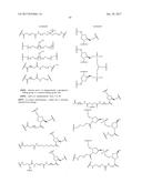 COMPOSITIONS AND METHODS FOR MODULATING PKK EXPRESSION diagram and image