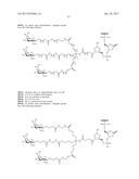 COMPOSITIONS AND METHODS FOR MODULATING PKK EXPRESSION diagram and image