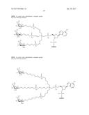 COMPOSITIONS AND METHODS FOR MODULATING PKK EXPRESSION diagram and image