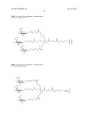 COMPOSITIONS AND METHODS FOR MODULATING PKK EXPRESSION diagram and image