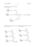 COMPOSITIONS AND METHODS FOR MODULATING PKK EXPRESSION diagram and image