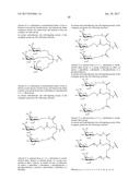 COMPOSITIONS AND METHODS FOR MODULATING PKK EXPRESSION diagram and image