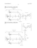 COMPOSITIONS AND METHODS FOR MODULATING PKK EXPRESSION diagram and image