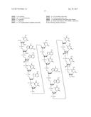 COMPOSITIONS AND METHODS FOR MODULATING PKK EXPRESSION diagram and image