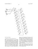 COMPOSITIONS AND METHODS FOR MODULATING PKK EXPRESSION diagram and image