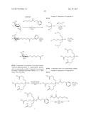 COMPOSITIONS AND METHODS FOR MODULATING PKK EXPRESSION diagram and image