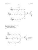 COMPOSITIONS AND METHODS FOR MODULATING PKK EXPRESSION diagram and image