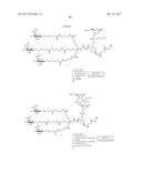 COMPOSITIONS AND METHODS FOR MODULATING PKK EXPRESSION diagram and image