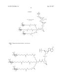 COMPOSITIONS AND METHODS FOR MODULATING PKK EXPRESSION diagram and image