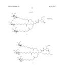 COMPOSITIONS AND METHODS FOR MODULATING PKK EXPRESSION diagram and image