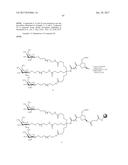 COMPOSITIONS AND METHODS FOR MODULATING PKK EXPRESSION diagram and image