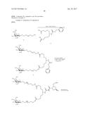 COMPOSITIONS AND METHODS FOR MODULATING PKK EXPRESSION diagram and image