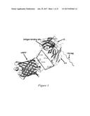 FLUORESCENT FUSION POLYPEPTIDES AND METHODS OF USE diagram and image