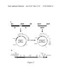 FLUORESCENT FUSION POLYPEPTIDES AND METHODS OF USE diagram and image