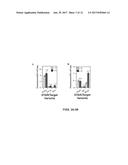 SMALL RNAs (sRNA) THAT ACTIVATE TRANSCRIPTION diagram and image