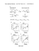 SMALL RNAs (sRNA) THAT ACTIVATE TRANSCRIPTION diagram and image