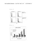 HETEROGENEOUS POLYPEPTIDE EXPRESSION CASSETTE diagram and image