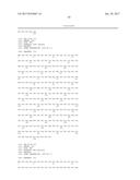 HETEROGENEOUS POLYPEPTIDE EXPRESSION CASSETTE diagram and image