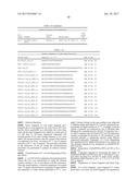 HETEROGENEOUS POLYPEPTIDE EXPRESSION CASSETTE diagram and image