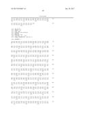 HETEROGENEOUS POLYPEPTIDE EXPRESSION CASSETTE diagram and image