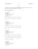 HETEROGENEOUS POLYPEPTIDE EXPRESSION CASSETTE diagram and image