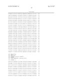 HETEROGENEOUS POLYPEPTIDE EXPRESSION CASSETTE diagram and image