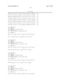 HETEROGENEOUS POLYPEPTIDE EXPRESSION CASSETTE diagram and image